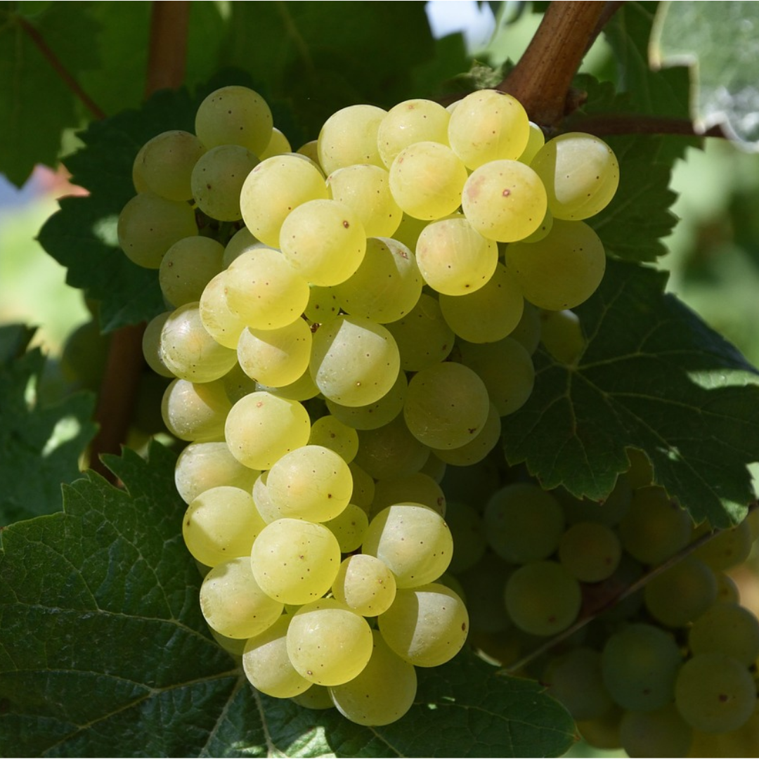 제목을 입력해주세요. (3).png