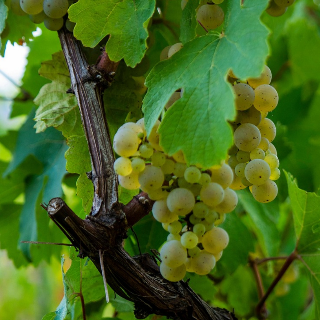 제목을 입력해주세요. (4).png