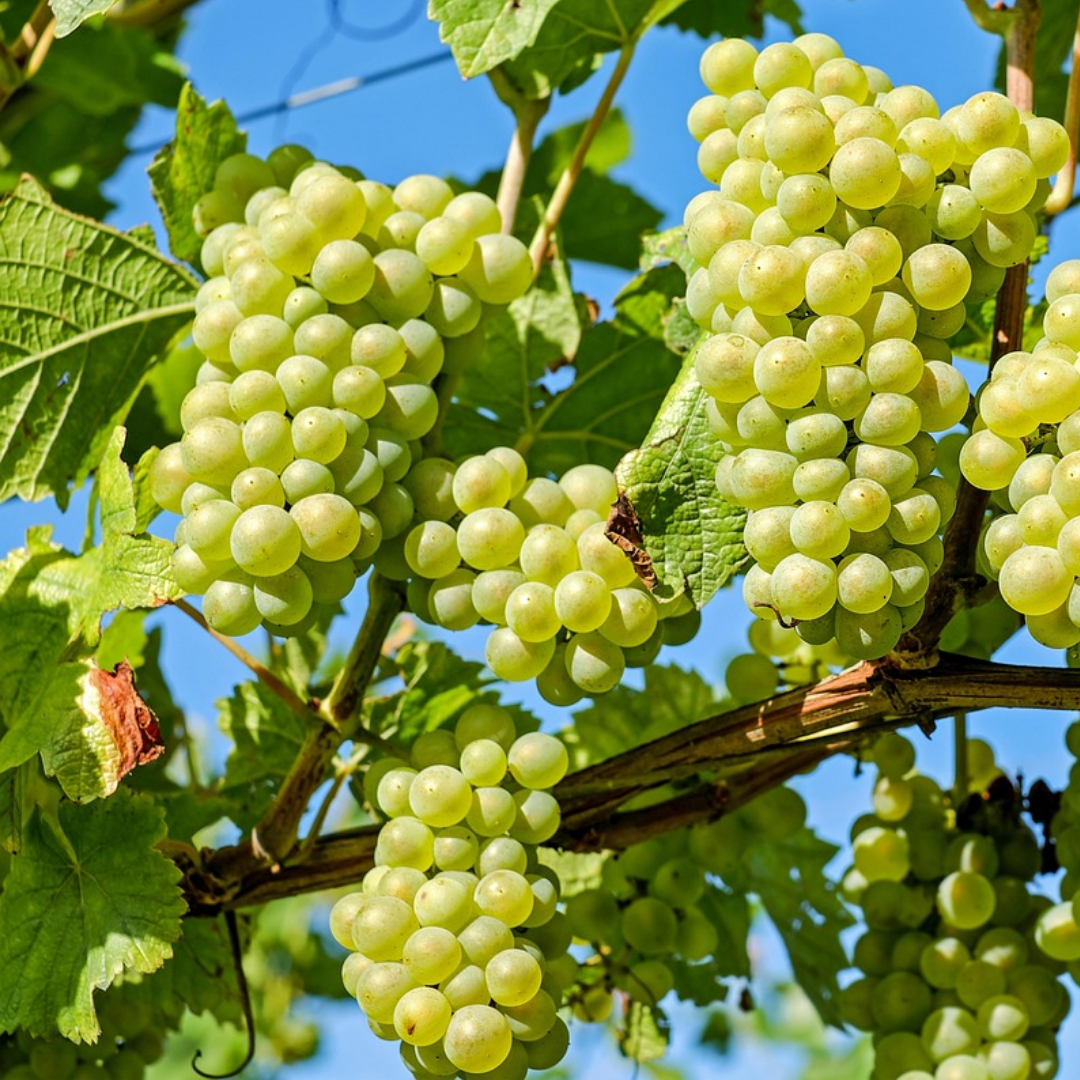 제목을 입력해주세요..png