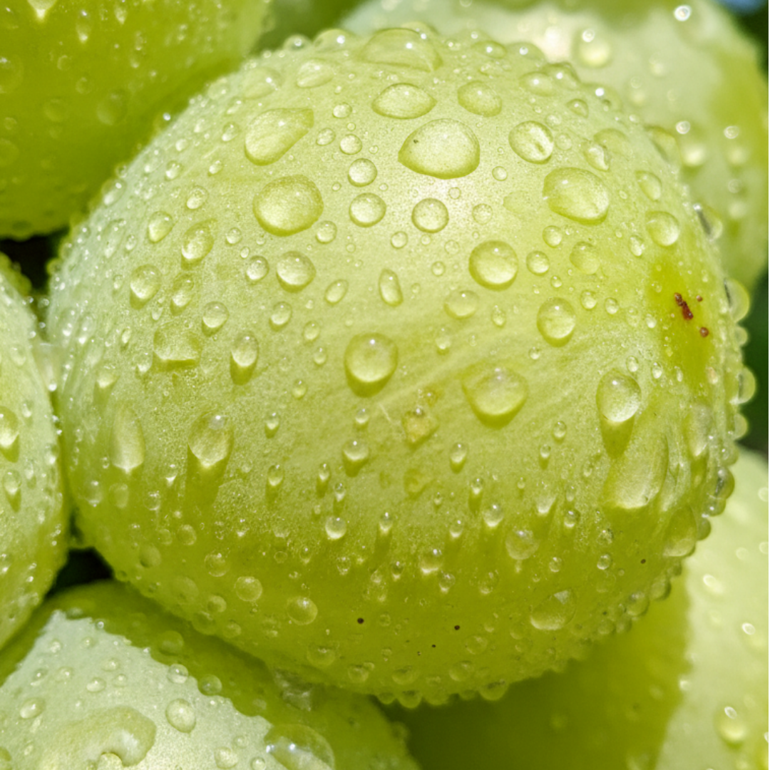 제목을 입력해주세요. (1).png