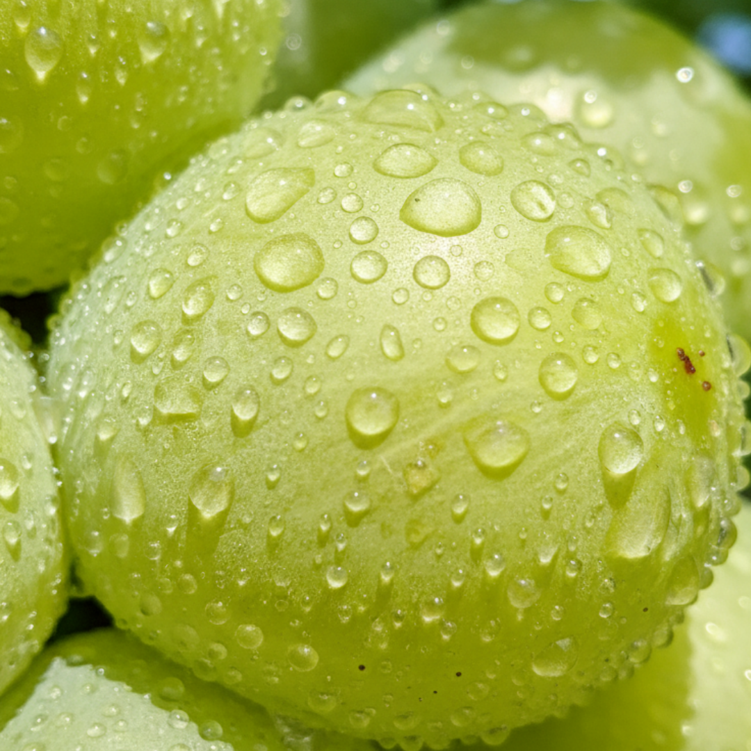 제목을 입력해주세요..png