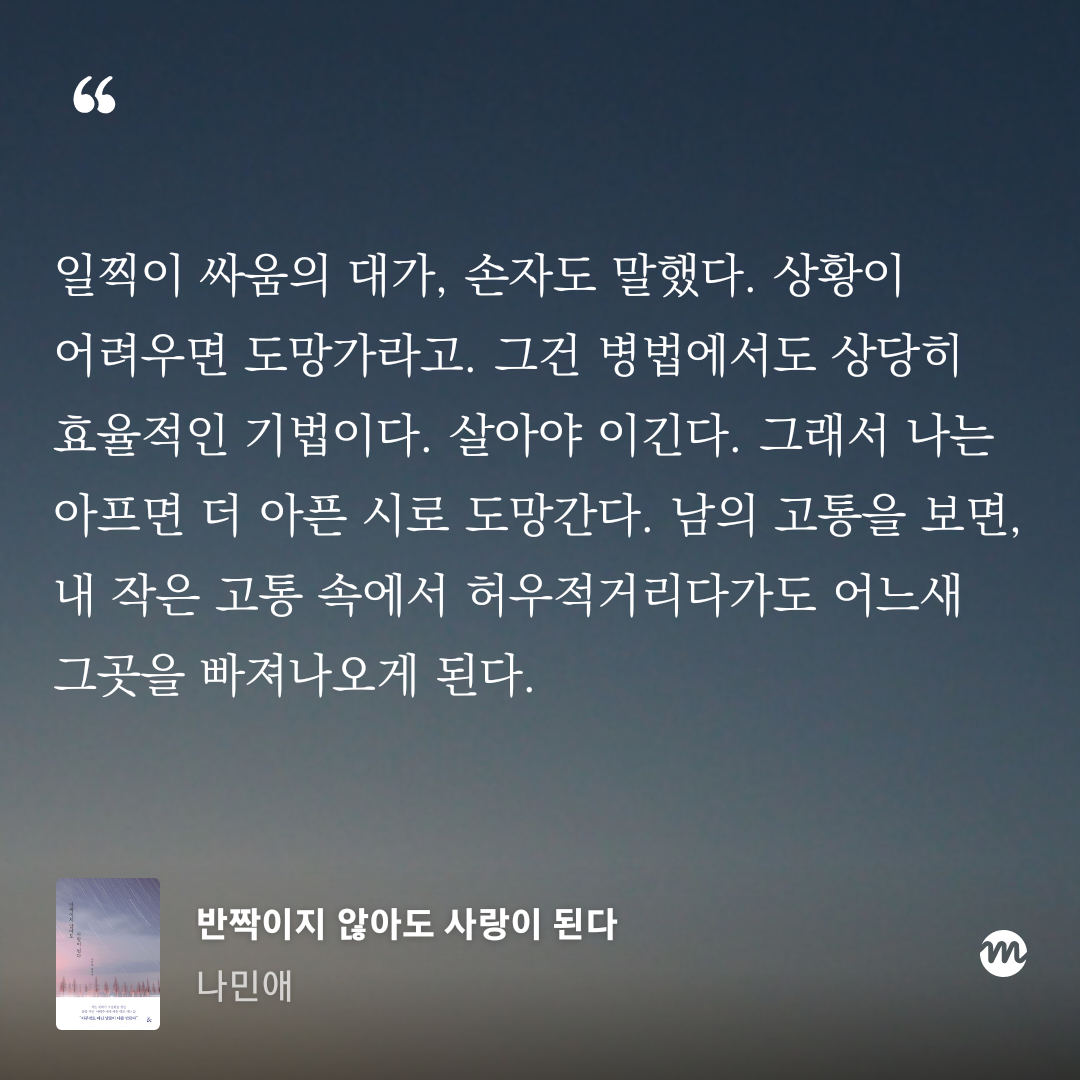 반짝이지 않아도 사랑이 된다_나민애 저 (8).png