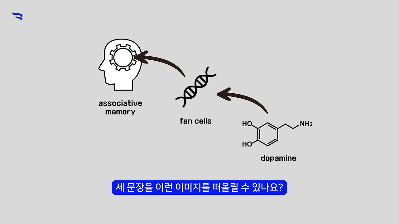 문해력과 SAT지문.png