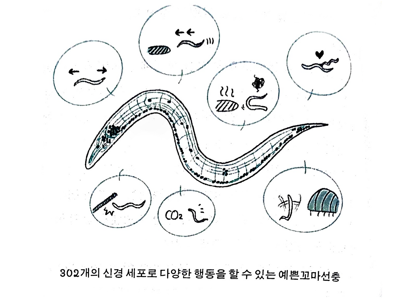 2025_09_17 오후 8_28 Office Lens(1).png