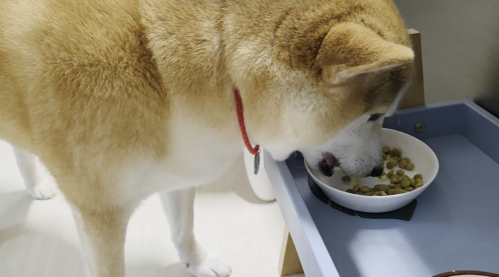 스크린샷 2025-08-20 162721.png