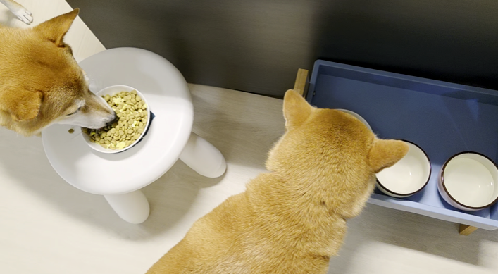 스크린샷 2025-08-20 162557.png