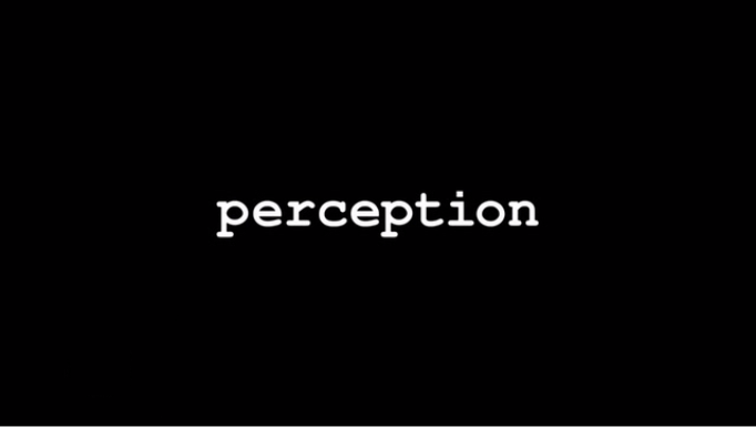 Perception_intertitle.png