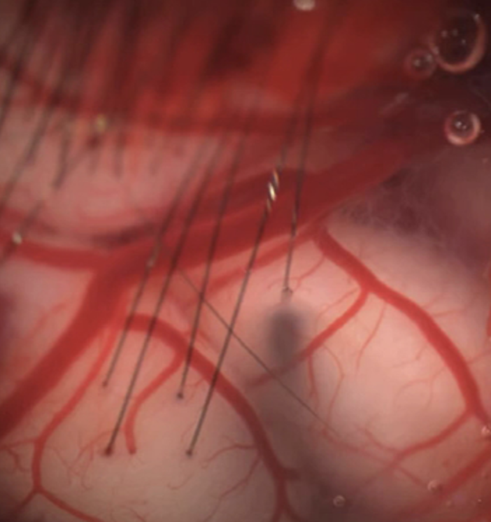 스크린샷 2024-10-25 오후 2.38.31.png