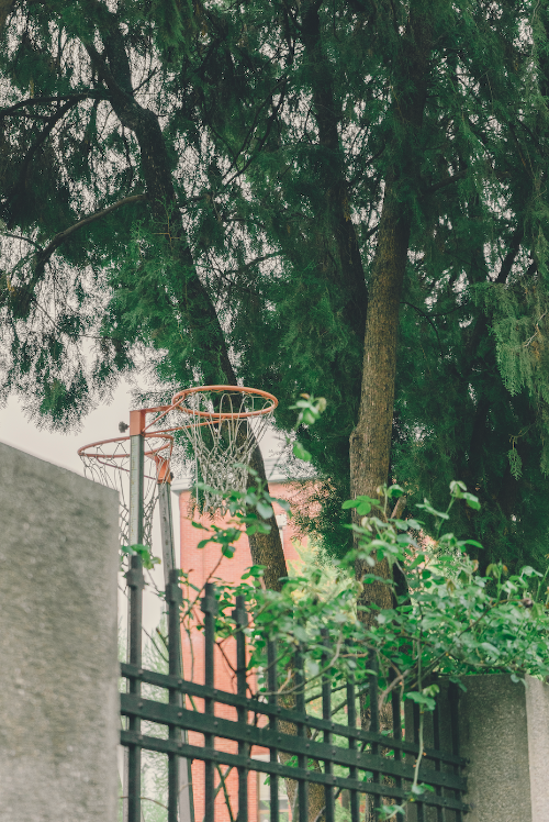 스크린샷 2024-11-04 오후 6.29.31.png