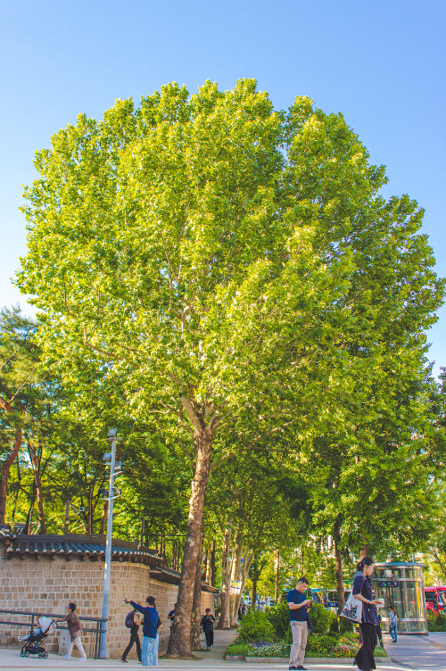 스크린샷 2024-11-04 오후 6.39.35.png