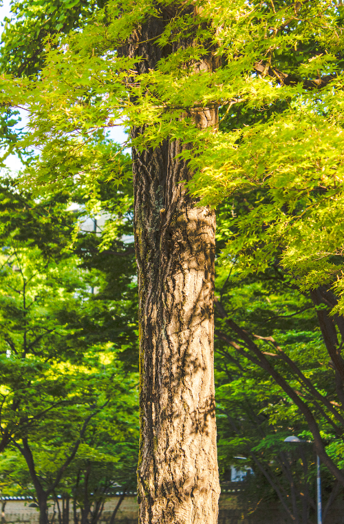 스크린샷 2024-11-04 오후 6.33.15.png