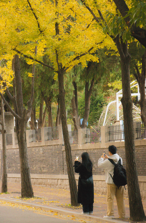 스크린샷 2024-11-06 오후 1.09.43.png