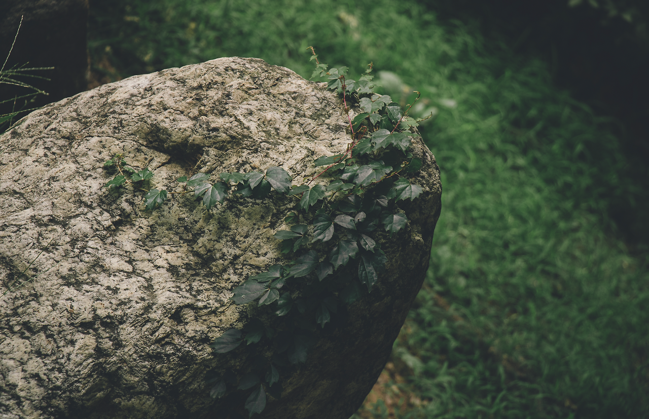 스크린샷 2024-11-07 오후 3.02.29.png