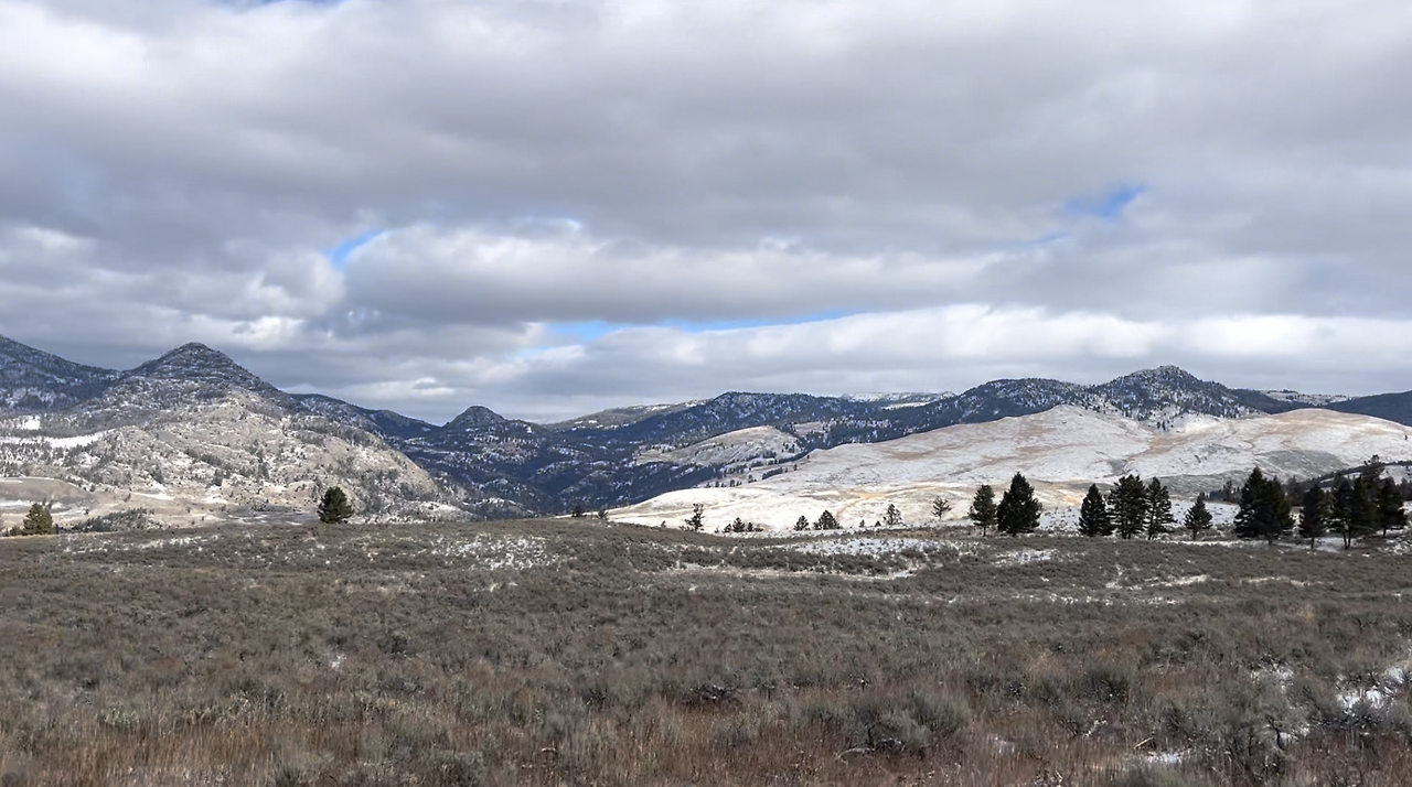 스크린샷 2024-12-20 오전 11.05.56.png