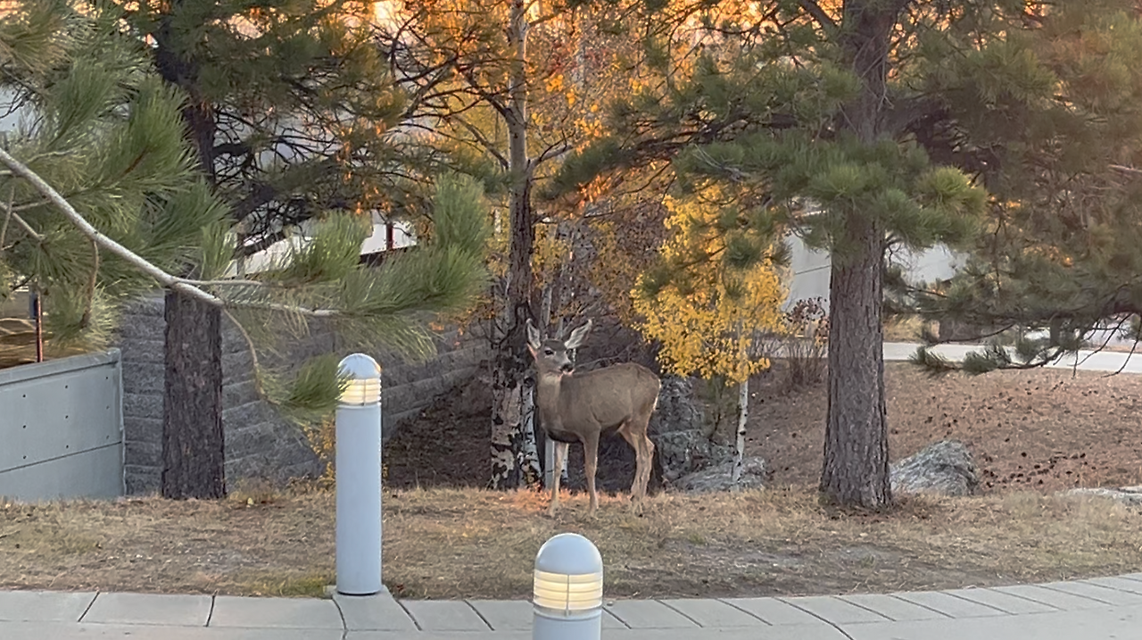 스크린샷 2024-12-24 오후 3.13.43.png