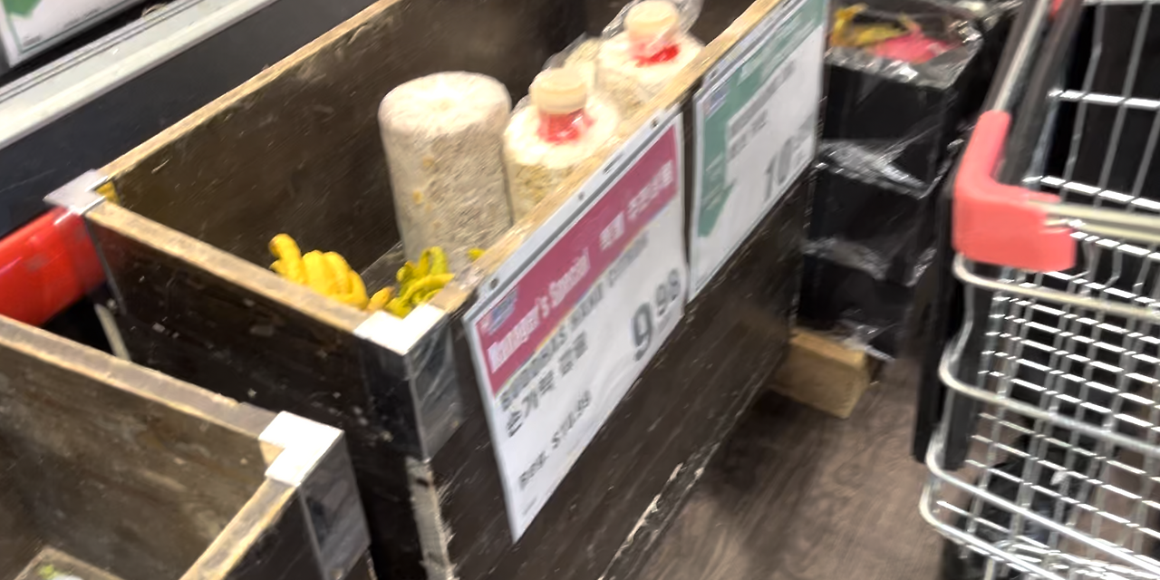 스크린샷 2024-12-06 오후 3.01.06.png