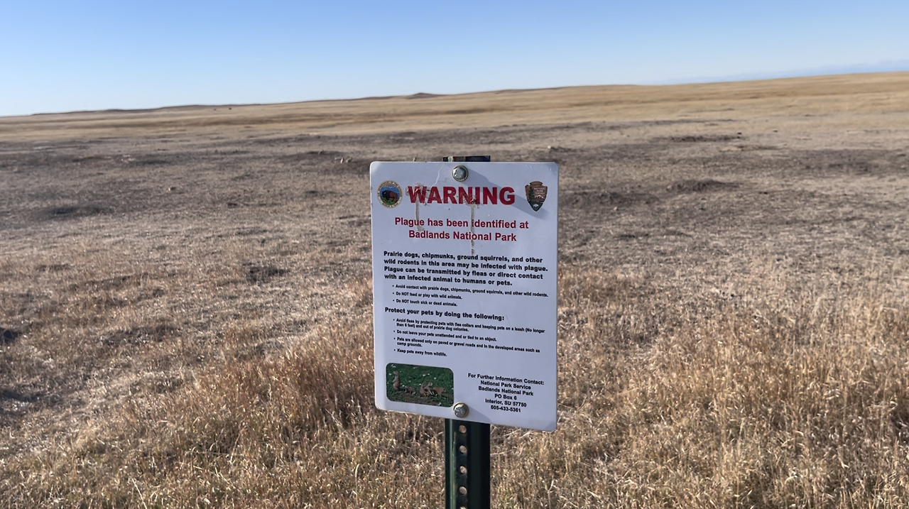 스크린샷 2024-12-25 오후 12.40.30.png