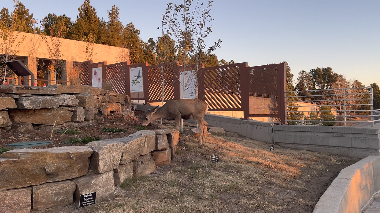 스크린샷 2024-12-24 오후 3.16.24.png