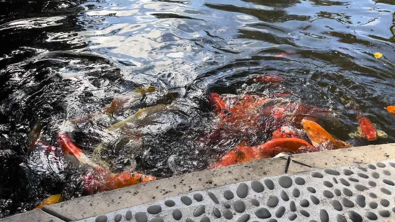 스크린샷 2025-04-20 오후 5.46.36.png