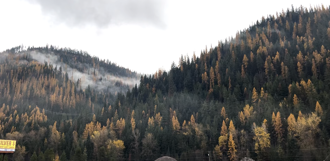 스크린샷 2024-12-07 오후 1.19.21.png