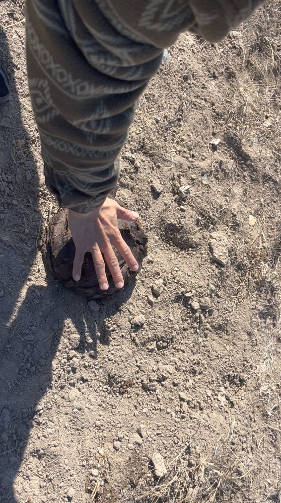 스크린샷 2024-12-25 오후 12.46.58.png