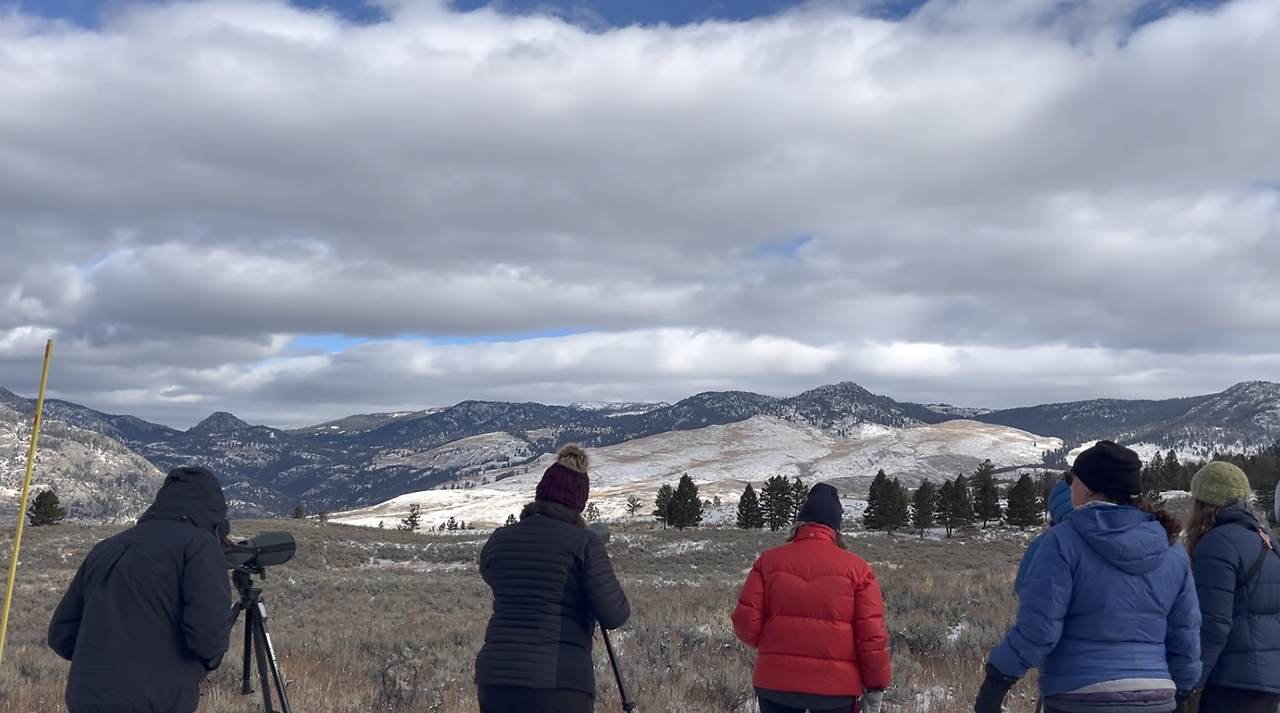 스크린샷 2024-12-20 오전 11.06.10.png