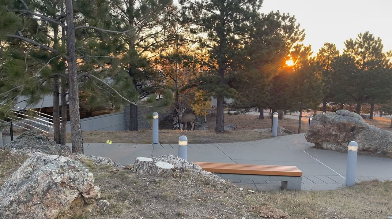 스크린샷 2024-12-24 오후 3.13.12.png