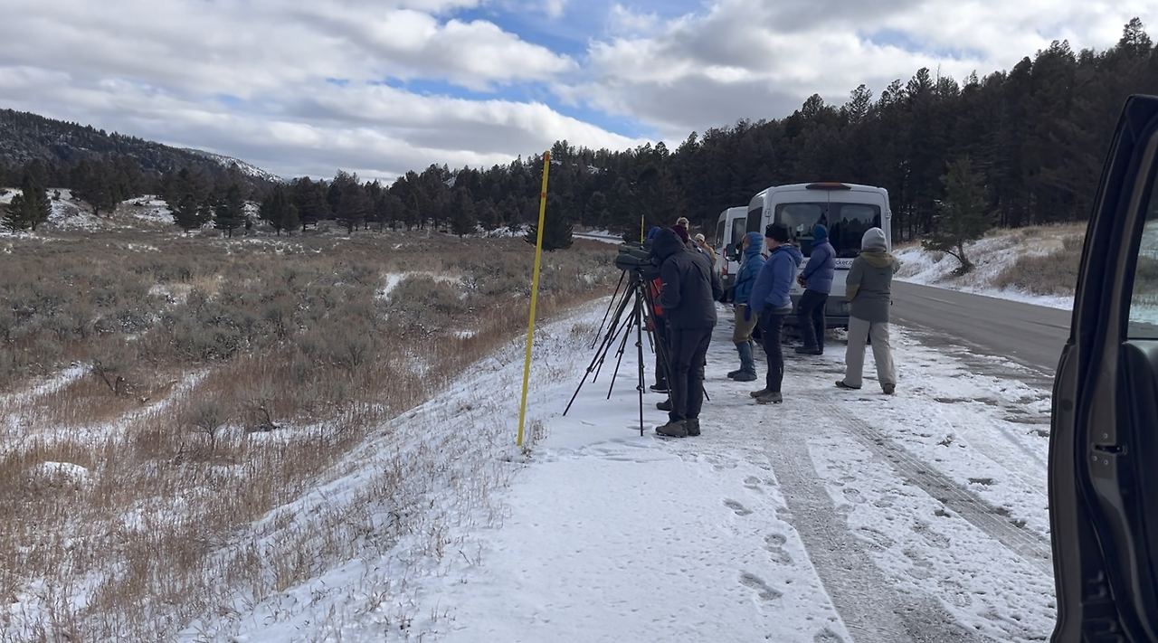 스크린샷 2024-12-20 오전 11.05.44.png