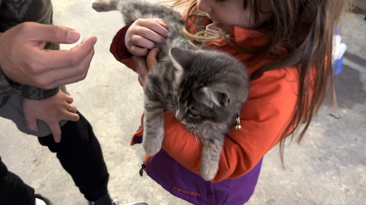 스크린샷 2024-12-25 오전 11.44.55.png