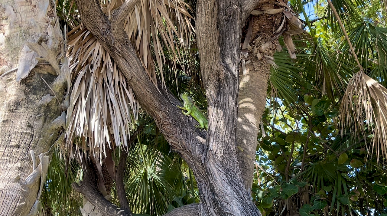 스크린샷 2025-04-20 오후 5.45.23.png