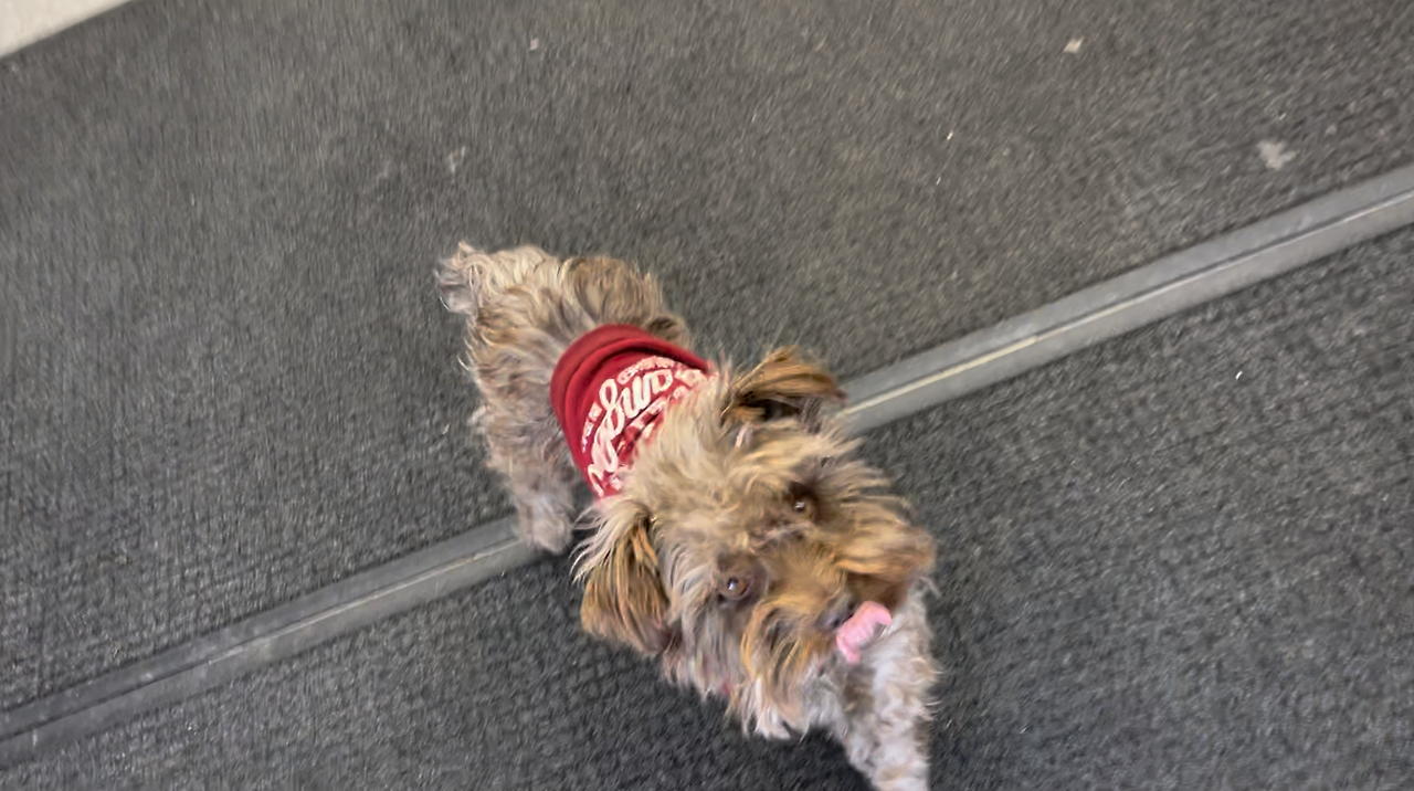 스크린샷 2024-12-20 오전 10.32.23.png