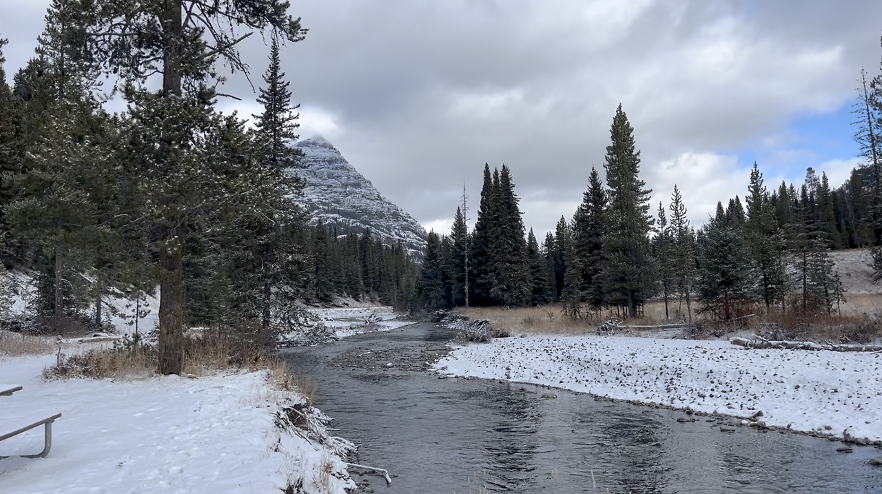 스크린샷 2024-12-20 오전 10.50.48.png