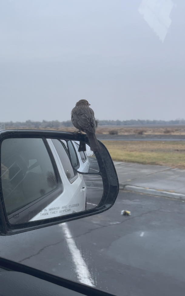 스크린샷 2024-12-07 오후 12.14.16.png