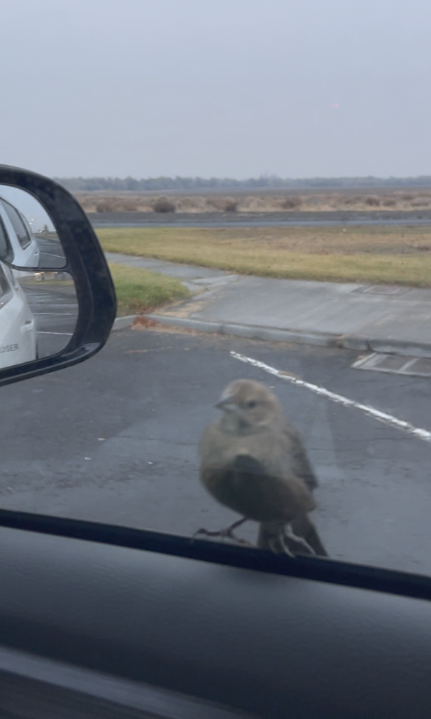 스크린샷 2024-12-07 오후 12.14.33.png