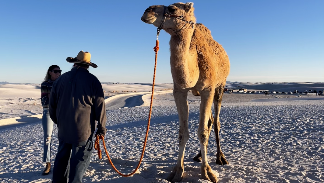 스크린샷 2025-05-17 오후 12.45.30.png