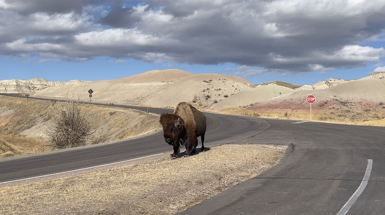 스크린샷 2024-12-25 오후 12.48.17.png