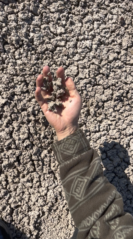 스크린샷 2024-12-25 오후 12.45.43.png