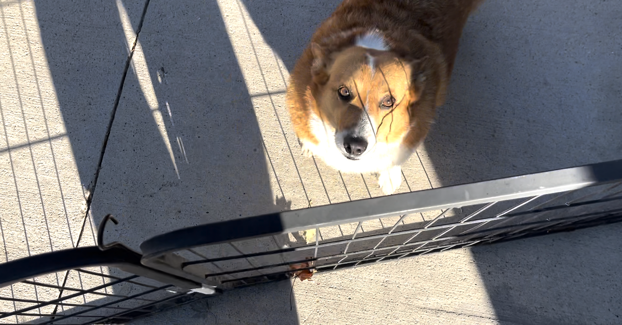 스크린샷 2024-12-25 오전 11.43.19.png