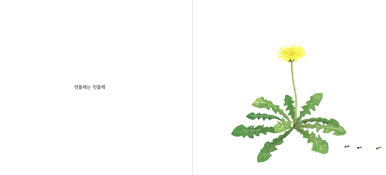 화면 캡처 2025-04-09 140257.png