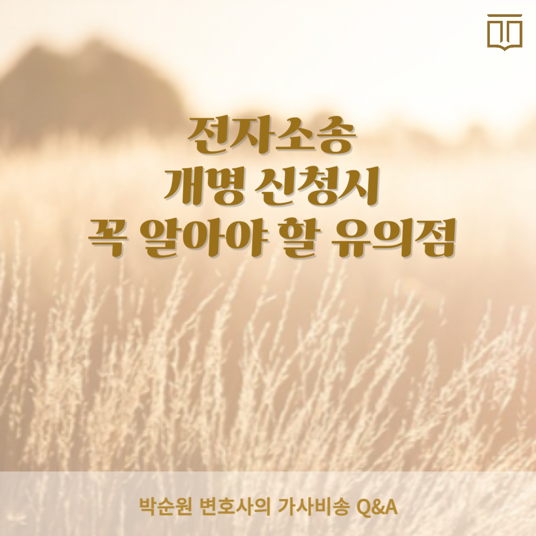 전자소송 개명.png