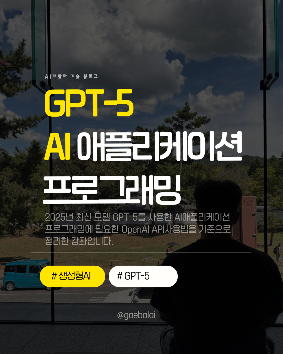 gpt-5-ai-programming-top.png