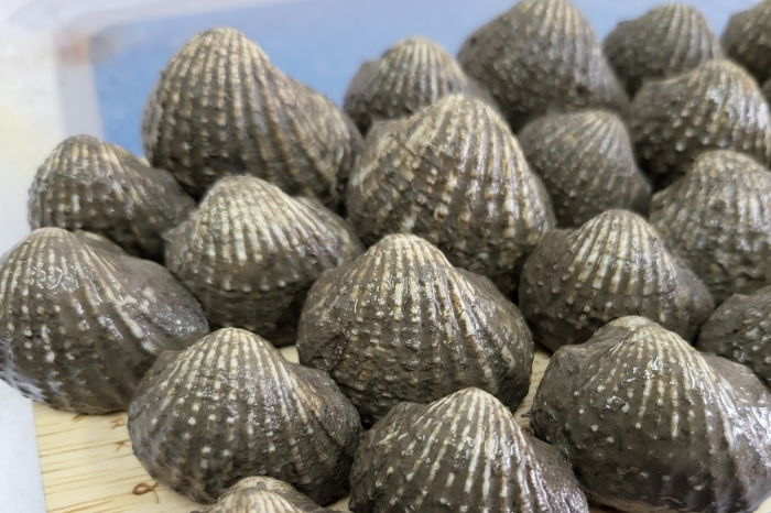 스크린샷 2025-08-13 094601.png