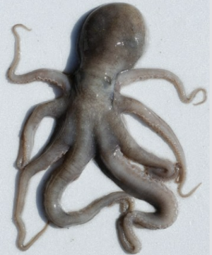 스크린샷 2025-03-15 091436.png