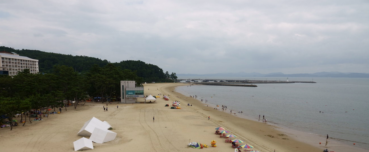 보성 2025-05-03 081159.png