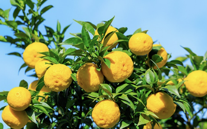 스크린샷 2025-05-13 101741.png