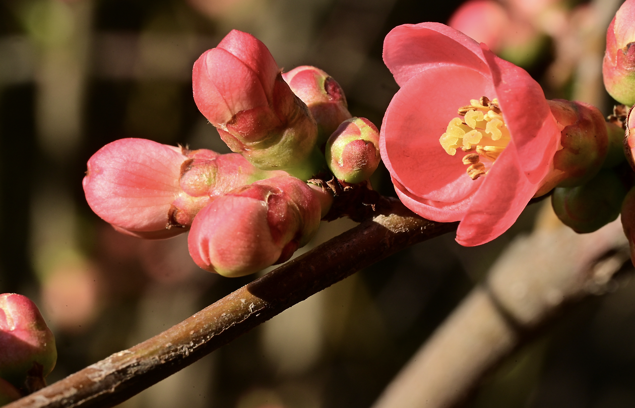 스크린샷 2025-04-16 오후 2.54.31.png