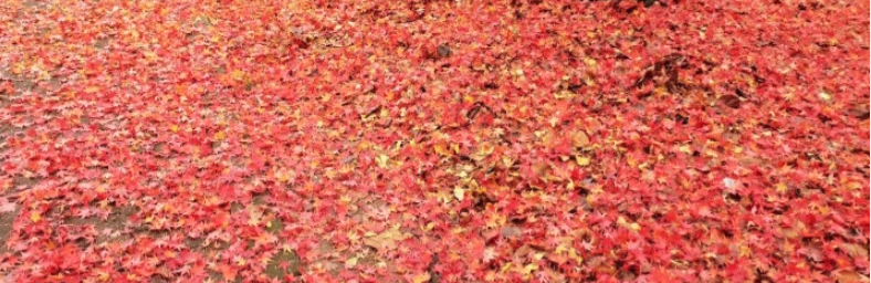 스크린샷 2025-10-31 오후 10.16.56.png