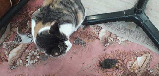 스크린샷 2024-12-27 오전 12.57.03.png