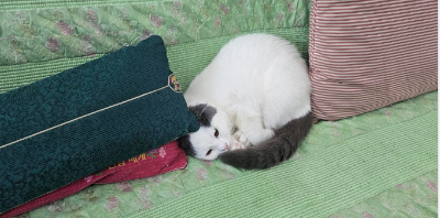 스크린샷 2024-12-24 오후 2.13.11.png