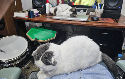 스크린샷 2024-12-24 오후 2.16.00.png